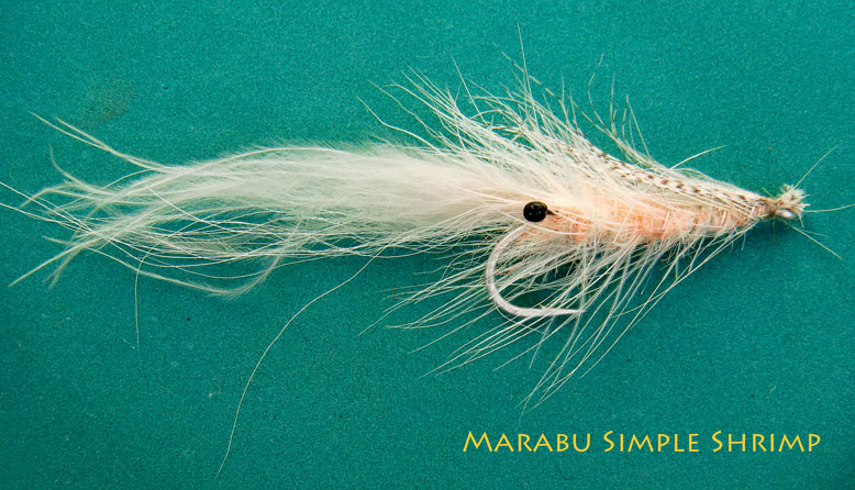 Simple Shrimp